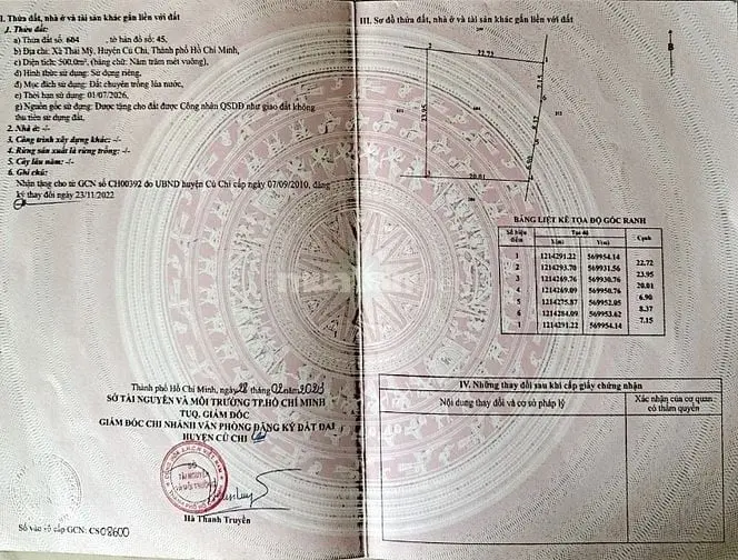 6047765 ảnh đại diện 1