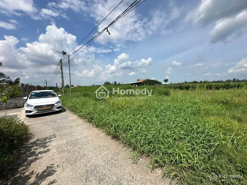 6047683 ảnh đại diện 1