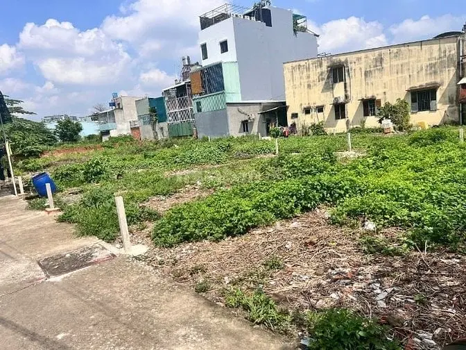 6047691 ảnh đại diện 1