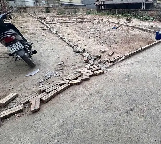 6047884 ảnh đại diện 1