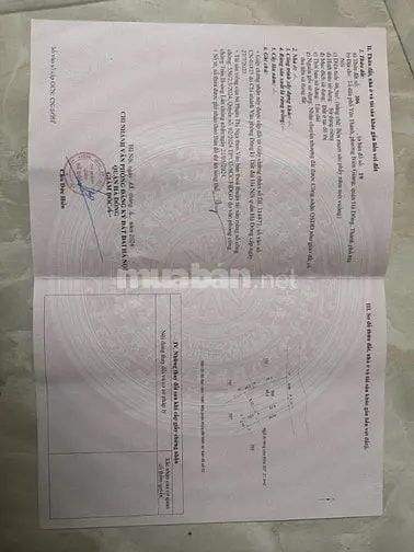 6047740 ảnh đại diện 1