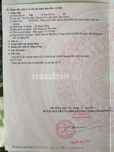 Bán Đất Xã Hòa Bắc, Huyện Di Linh, Tỉnh Lâm Đồng Cũ