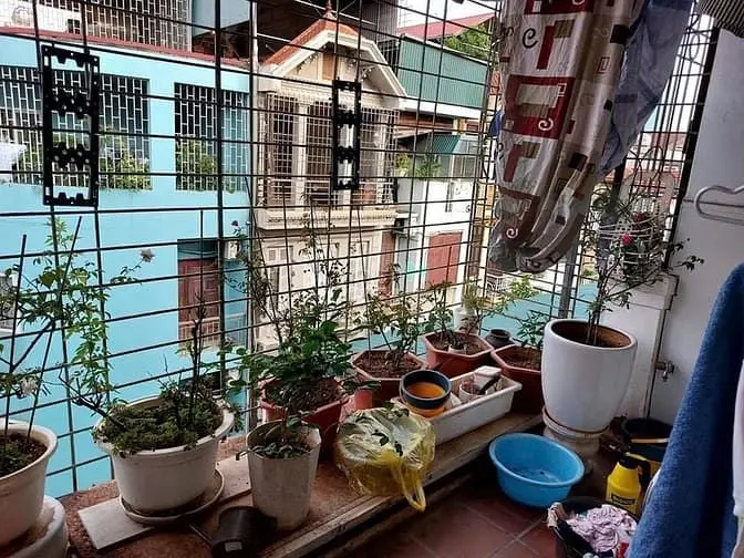 🌟Nhỉnh 5 Tỷ Tập Thể 7,2 Ha Vĩnh Phúc_Ba Đình_P/Lô_Ô Tô_Sổ To 75M2 2Pn