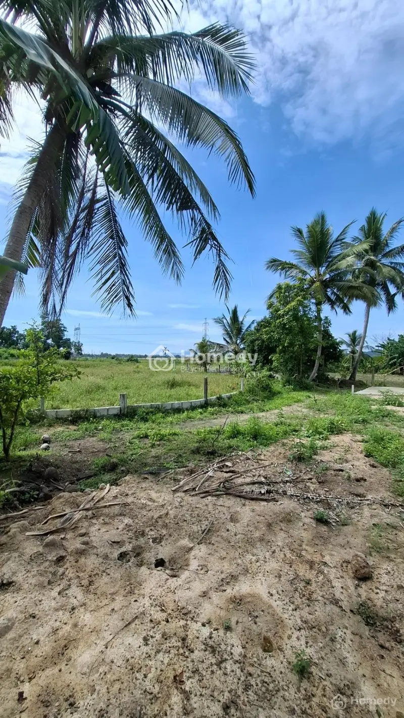 Bán Đất 203.2M2, 950 Triệu, Hương Lam, Xã Hòa Khương, Hòa Vang, Đà Nẵng Đẹp Xuất Sắc