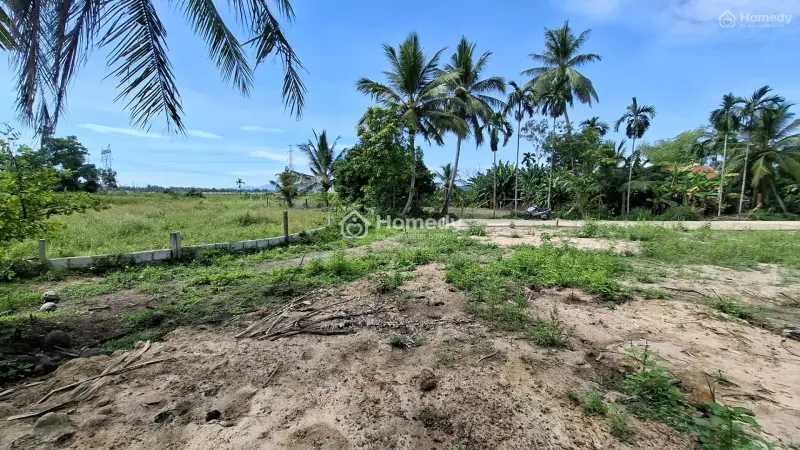 Bán Đất 203.2M2, 950 Triệu, Hương Lam, Xã Hòa Khương, Hòa Vang, Đà Nẵng Đẹp Xuất Sắc