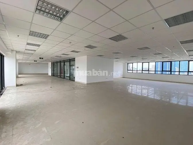 Cho Thuê Nguyên Sàn Văn Phòng 330M² Tầng 11 Tòa C1 Thành Công