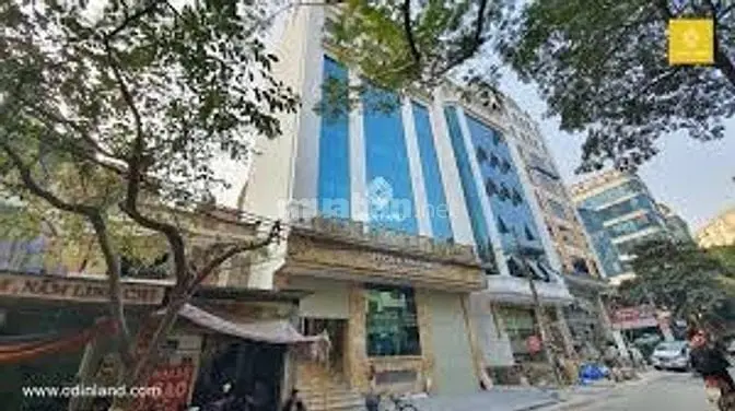 Bán 144M2Đất Đấu Giá Khu 3Ha Đức Diễn, Mt 8M Quận Bắc Từ Liêm, Hà Nội