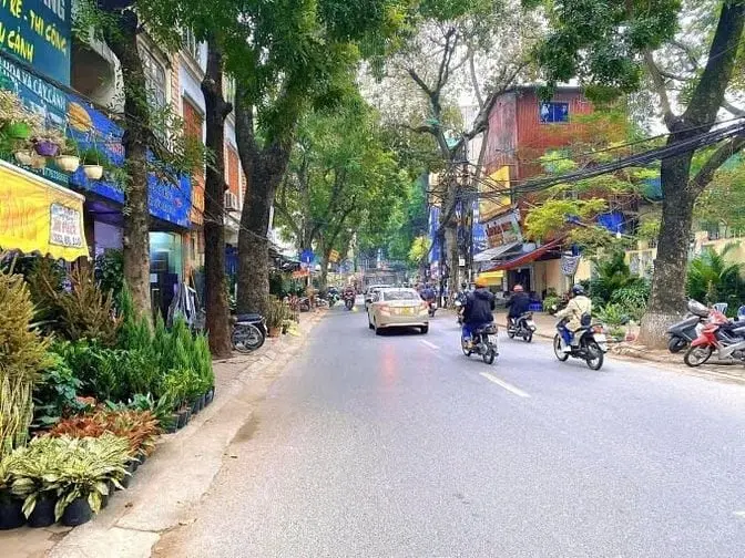 6048841 ảnh đại diện 1