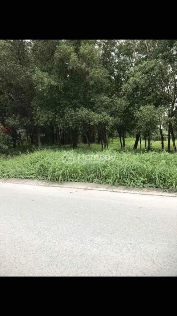 Chính Chủ Bán Đất Hơn 6000M2 Thích Hợp Làm Kho Bãi Hoặc Xây Dựng Khu Vui Chơi, Thể Thao, Bãi Giữ Xe