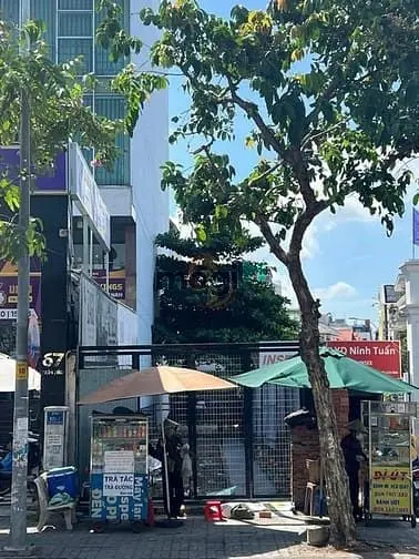 70 Tỷ! Bán Nhà Siêu Khan Hiếm Mt Đất Thánh Quận Tân Bình - 11.5X50M