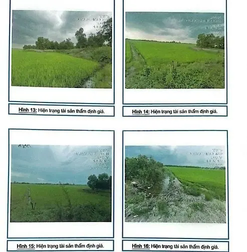 Bán 17.200M2 Đất Trồng Cây Hàng Năm Khác Tại X. Tân Thành, Mộc Hóa, Lo