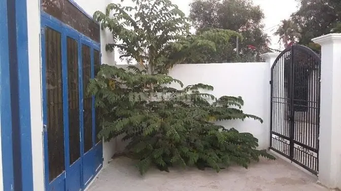 Giá Sốc – Nhà Cạnh Vinhomes. Chỉ 2,95 Tỷ Có Ngay 102M² Sổ Hồng Thổ Cư
