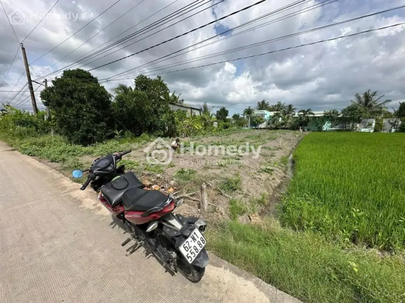 503M² Đường Huỳnh Văn Phi Xe Tải Vi Vu