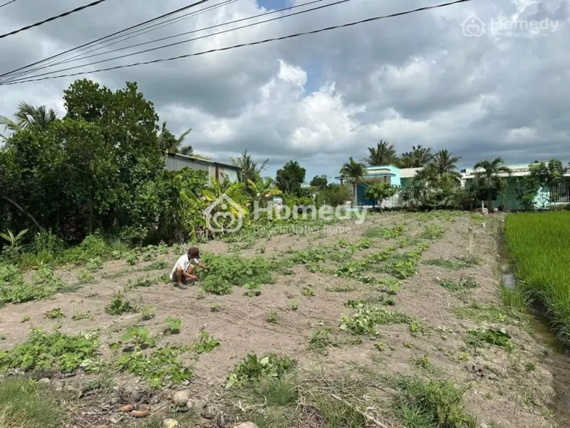 503M² Đường Huỳnh Văn Phi Xe Tải Vi Vu