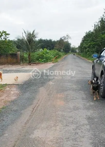 Cần Tiền Gấp Bán Cắt Lỗ, Giảm Sâu Lô Đất Mặt Tiền Đường Nhựa