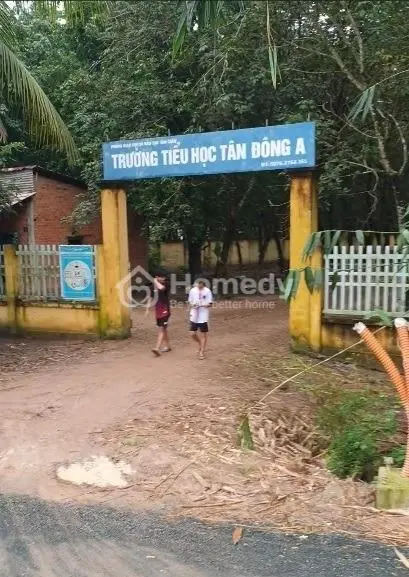 Cần Tiền Gấp Bán Cắt Lỗ, Giảm Sâu Lô Đất Mặt Tiền Đường Nhựa