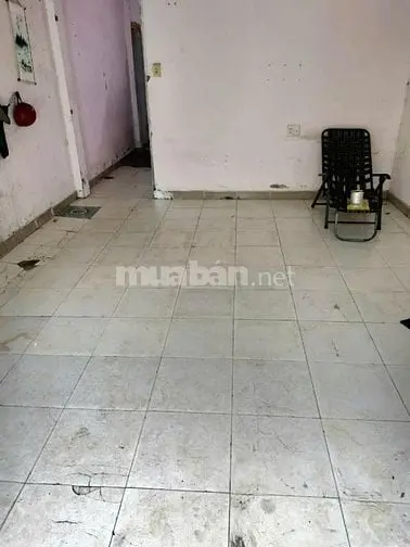 Cho Thuê Nhà Ở Mặt Hẻm Diện Tích 100M2 Đường Trần Thị Cờ Quận 12