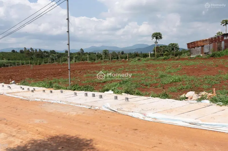 Cần Bán Gấp Đất Nền Nghỉ Dưỡng Ven Đà Lạt, Giá Đầu Tư