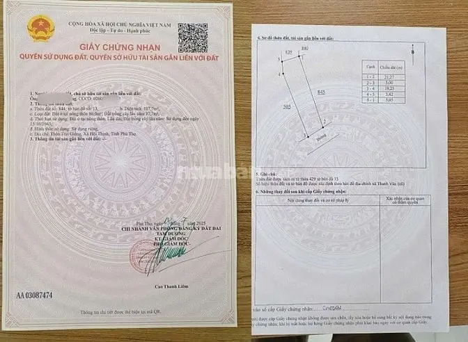 Bán Đất Thổ Cư Tại Đạo Tú, Tam Dương, Vĩnh Phúc