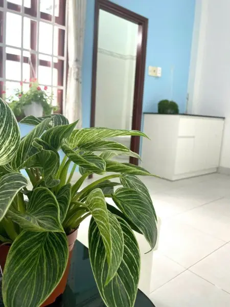 Chính Chủ Cho Thuê Phòng Trọ Tại 110/55/2 Đường Số 30, Phường 6, Gò Vấp Full Đồ Hẻm Xe Hơi