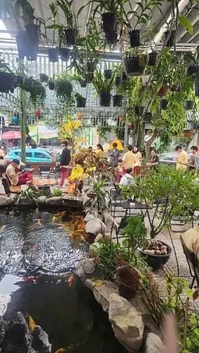 Sang Nhượng Quán Cafe 1000M2 Gần Emart Gò Vấp, Thuê Chỉ 31Tr