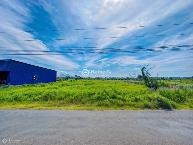 Bán Gấp Lô Đất Vàng 237M² Mặt Tiền 19M Sổ Hồng Riêng Gần Biển Lagi