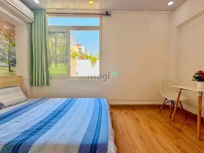 6049973 ảnh đại diện 1
