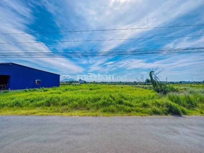 Đất Hiếm Lagi Mặt Tiền Đinh Công Tráng Full Thổ Cư Giá Siêu Rẻ Đầu Tư