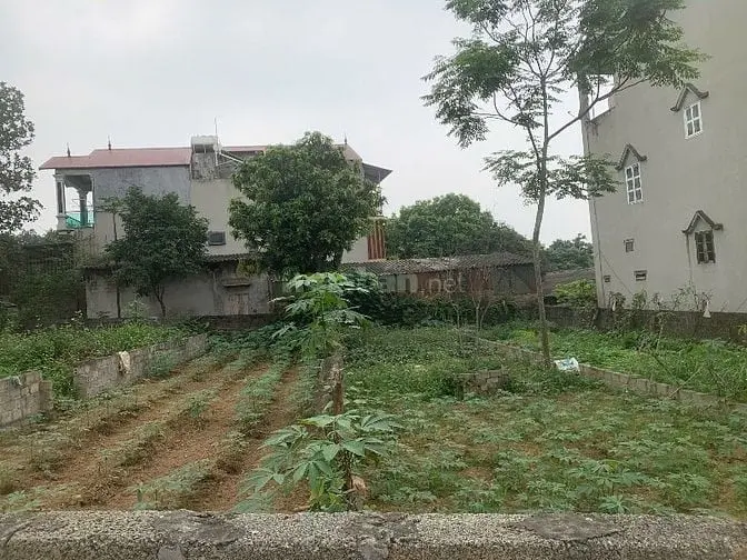 Bán Đất Xuân Thuỷ, Thuỷ Xuân Tiên, Chương Mỹ.