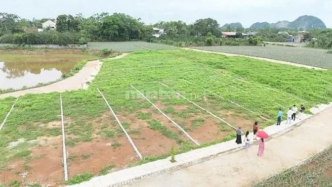 Đất Nền Trung Tâm Ngọc Lặc – Thanh Hóa Chỉ 200Tr Sổ Riêng