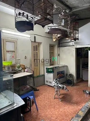 🌟Chỉ 5,1 Tỷ Tt Bộ Công An_Nguyễn Huy Tưởng_Thanh Xuân_Sổ To 100M2 3Pn