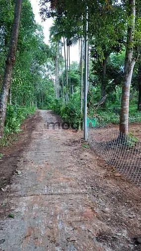 Bán Đất Tại Ninh An, Hòa Nhơn, Xã Bà Nà, Đà Nẵng, 1,6 Tỷ, 439,9 M2