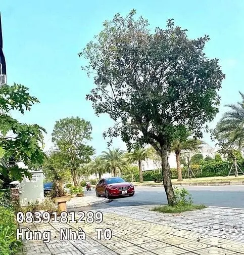 Mặt Phố Đào Đình Luyện, Đối Diện Vin, Vỉa Hè Kinh Doanh Dt 90M2 Mt 5M