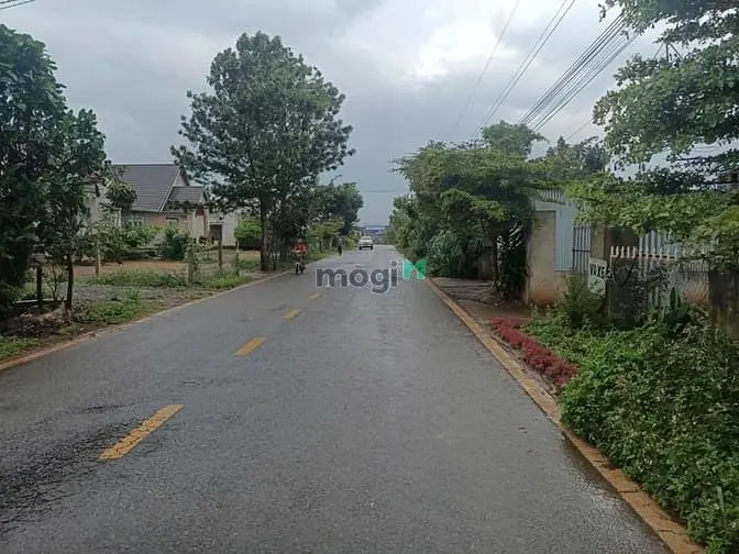 Bán Đất Mạt Tiền Dh1 Kinh Doanh Buôn Bán Dt 10X100M Tc196M2 Giá 3Ty