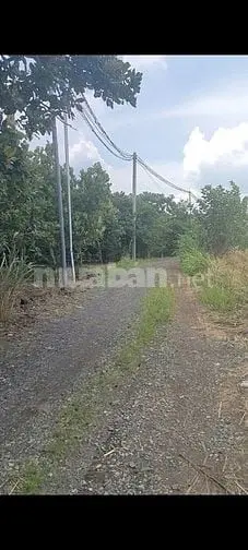 Bán 1.000M2 Đất Xã Xuân Bảo 1 Tỷ 4