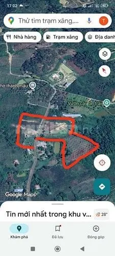 Bán 1,3 Mẫu Đất Quảng Trị Đà Tẻ Giá Chỉ 6Ty900Tr