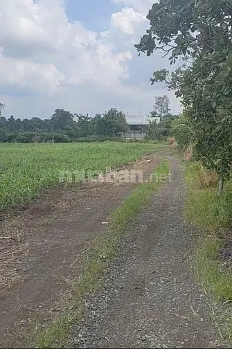 Bán 1.000M2 Đất Xã Xuân Bảo 1 Tỷ 4