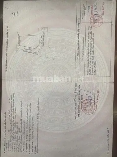 6050768 ảnh đại diện 1