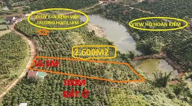 2.600M2 Sẵn 100M Tc Ven Đà Lạt 769Tr/Xào