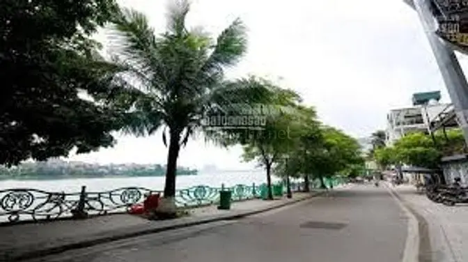 Bán Nhà Phố Quảng An, Mặt Hồ Tây Quận Tây Hồ 356M² Xây 5 Tầng