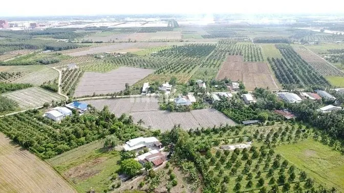 7000M2 Có 1600M2 Thổ Cư. Ngay Khu Đô Thị Phước Đông. 6,2 Tỷ