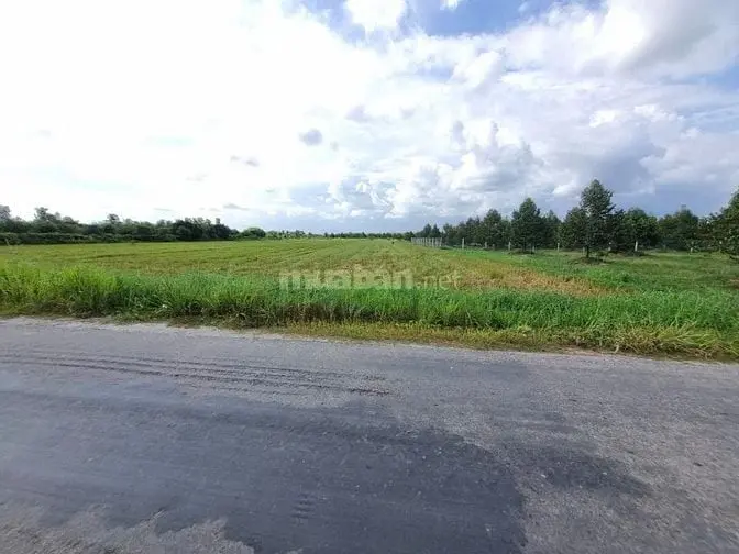 7000M2 Có 1600M2 Thổ Cư. Ngay Khu Đô Thị Phước Đông. 6,2 Tỷ