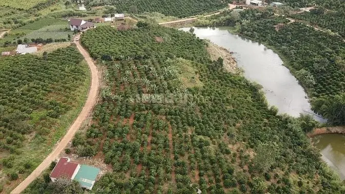 2.600M2 Sẵn 100M Tc Ven Đà Lạt 769Tr/Xào