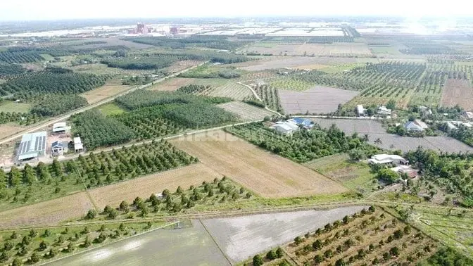 7000M2 Có 1600M2 Thổ Cư. Ngay Khu Đô Thị Phước Đông. 6,2 Tỷ