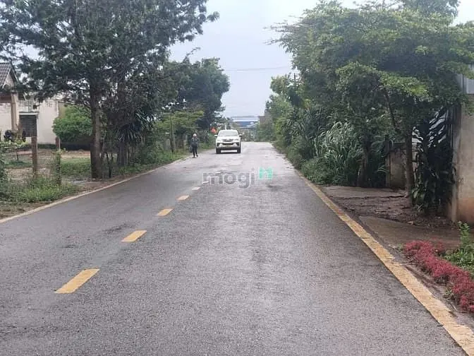 Bán Đất Mạt Tiền Dh1 Kinh Doanh Buôn Bán Dt 10X100M Tc196M2 Giá 3Ty