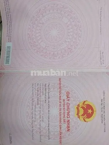 Công Ty Đấu Giá Hợp Danh Sao Việt – Đang Đấu Giá Tài Sản