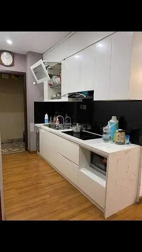 Cho Thuê Căn Hộ Chung Cư V1 - Homecicty
