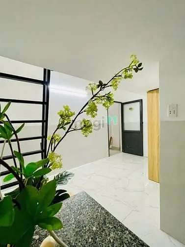 Duplex - Rộng 30M2 - Ngay Đại Học Văn Lang