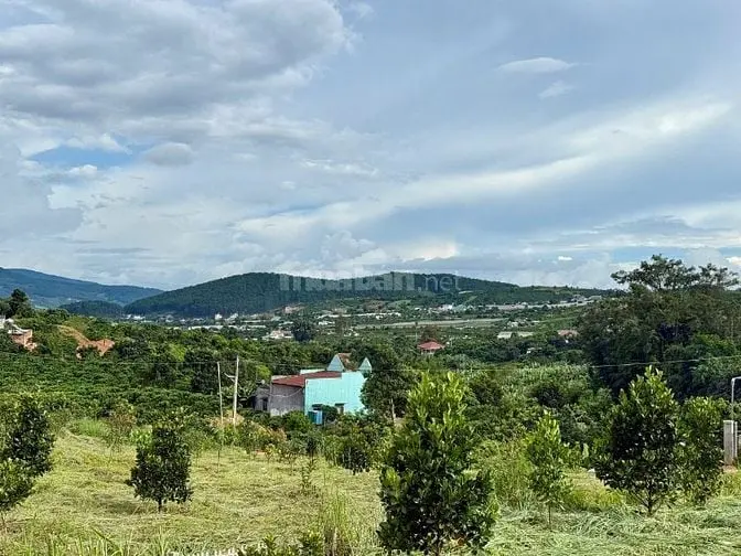Đất Nghỉ Dưỡng Xã Nam Ban Cách Đà Lạt 20Km