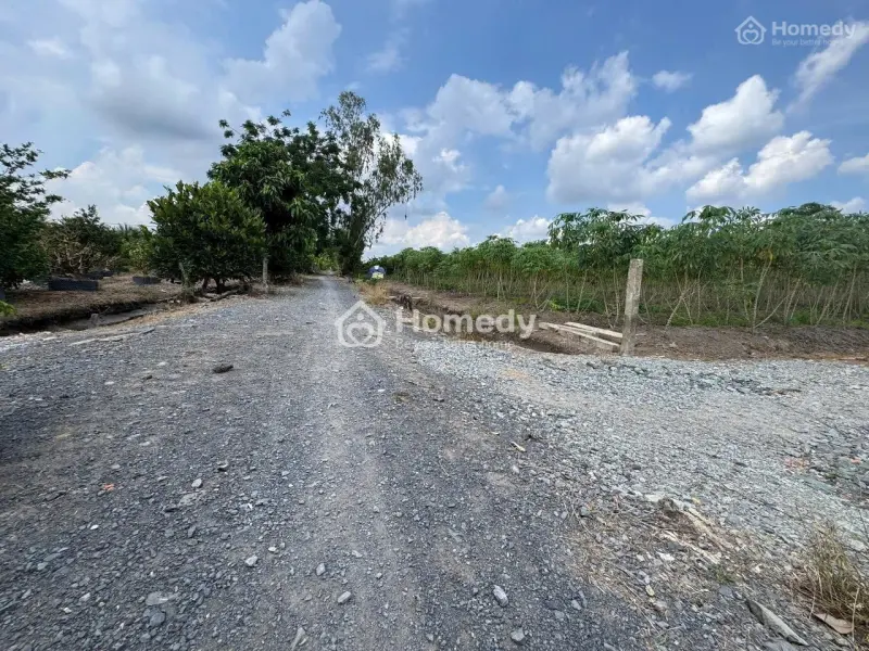 Đất Vườn: Thạnh Hòa, Bến Lức , Long An. Diện Tích : 1000Mv